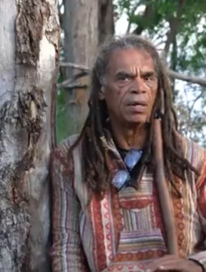 Video Report: Why is NSW Still Logging the Great Koala National Park?