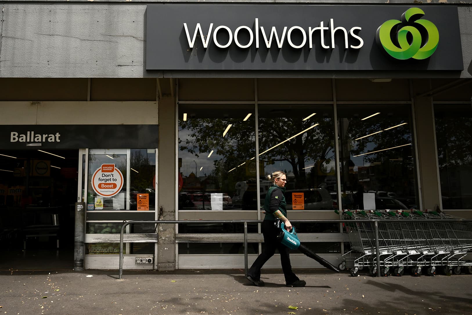 Votes by Woolies and Coles shareholders may determine the fate of the Maugean skate
