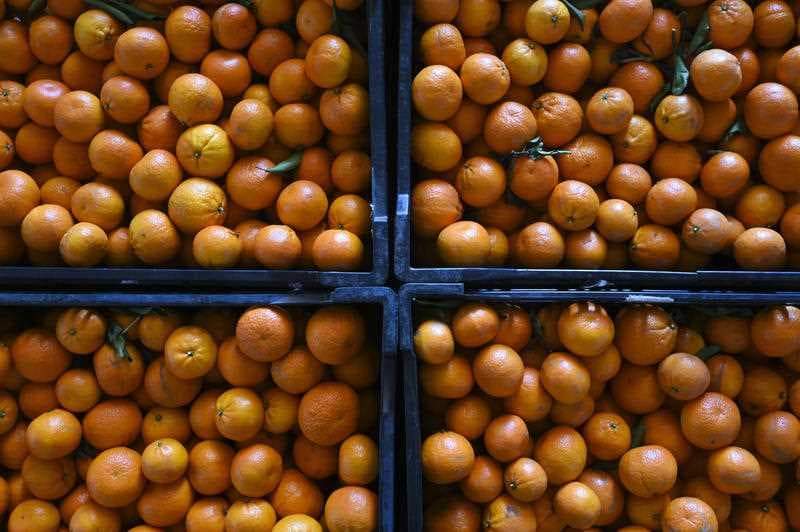 Is Australia putting Pacific Island guestworkers at risk of modern slavery?