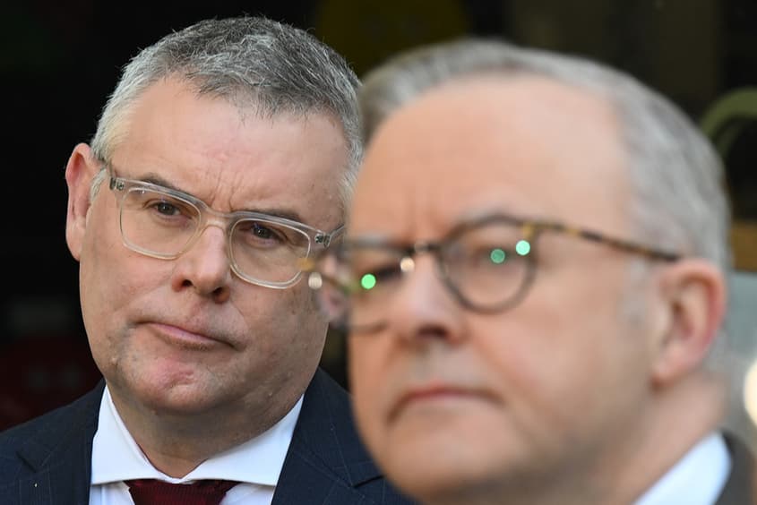 How many extra possums does it take to compensate for a dead platypus?