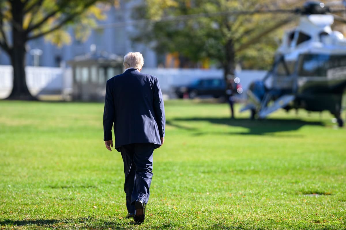 Hope for Net Zero in Trump politics