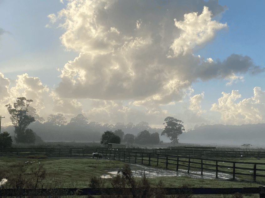 Part Two: The history of opposition to coal in the Central Coast and the global impact of the local campaign