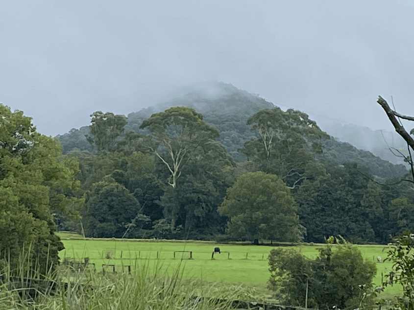 Part One: The history of opposition to coal in the Central Coast and the global impact of the local campaign
