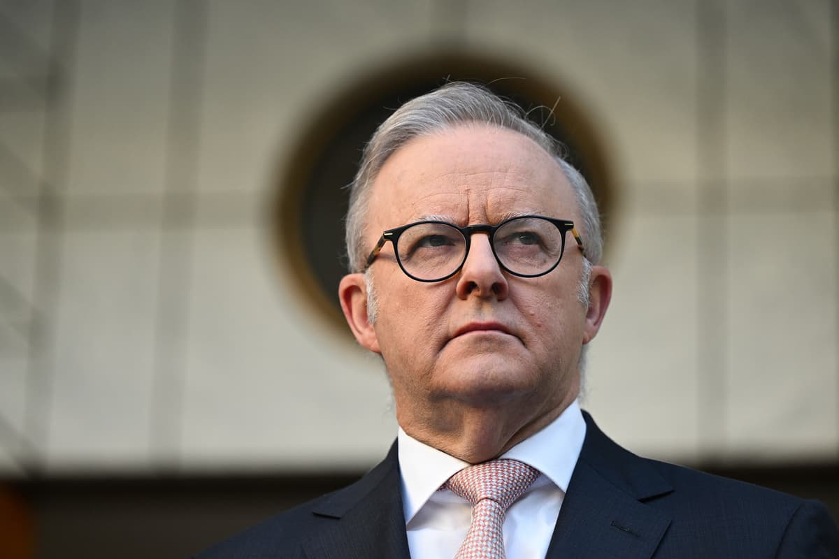 Anthony Albanese was wise to split hate speech/gun control bill