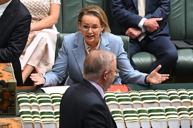 The Wrap: Australia doesn’t need 'a strong Opposition', but it does need a strong Parliament