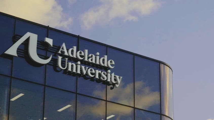 Was the Adelaide University merger really worth $185 million in consultants?