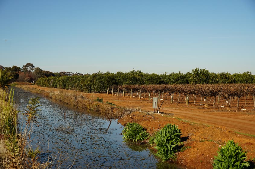 A Fair Go for Pacific Workers: The Case for Mobility and Employer Readiness