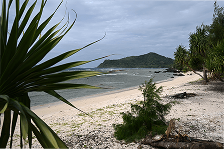 Pacific nations step up push for fossil fuel phase-out ahead of global talks