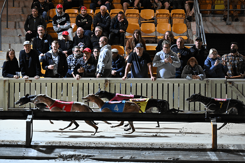 Countries are walking away from dog racing and Australia may finally be next  