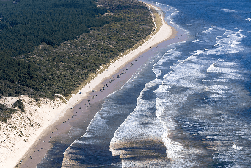 Evidence of seismic blasting's harms are clear, but policy has not caught up