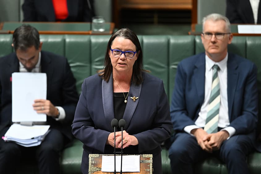 Factcheck: Is Madeline King right to call claims that Australia gives gas away for free “tosh”?