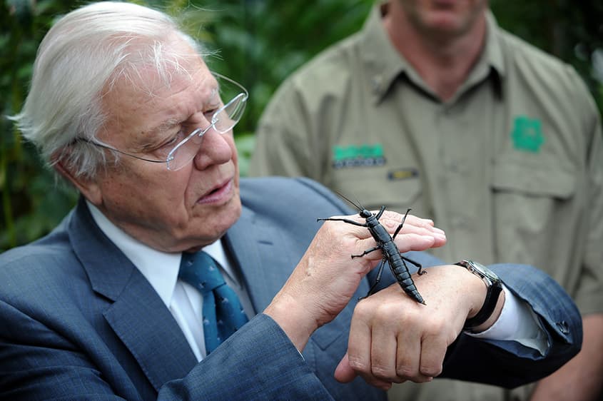From fossicking for fossils to a champion for life on Earth: Sir David Attenborough at 100