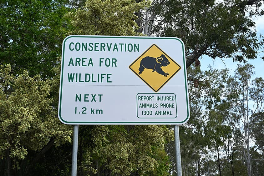 Budget 2026: A Labor budget that looks more like Coalition-era environmental settings