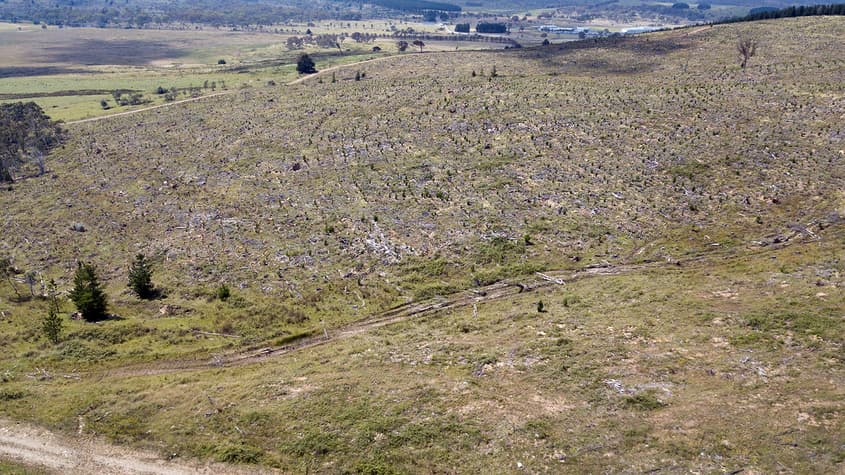 How the "Australia clause" inflates our emissions progress