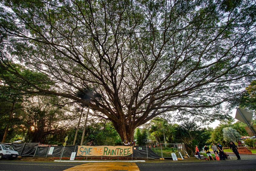 https://thepoint.com.au/wp-content/uploads/2026/05/29150348/20260527FreshwaterTree1296.jpg