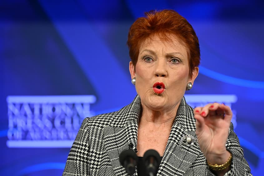 Factcheck: Hanson's massive non-English speaking figure includes 100,000 babies. Yes, really.