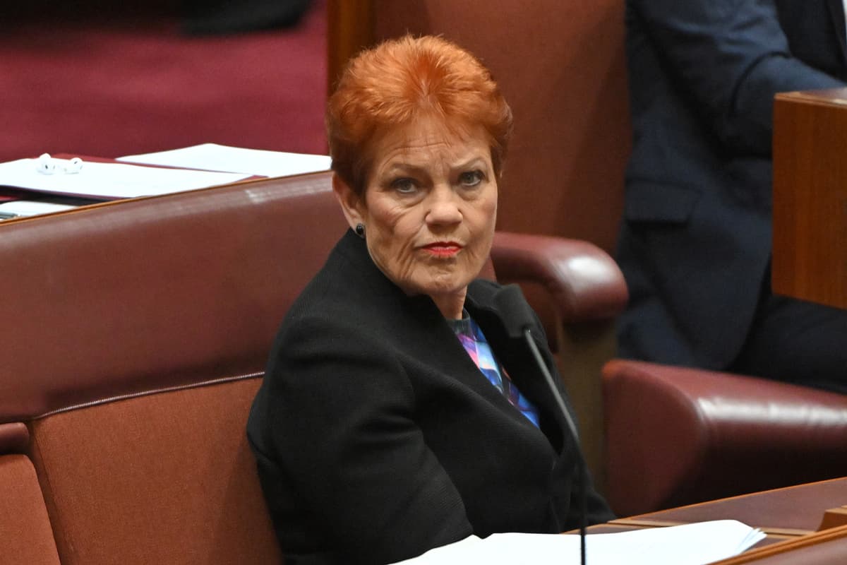 'People are frustrated': Coalition collapse and voter frustration driving One Nation's rise, less a rightward shift