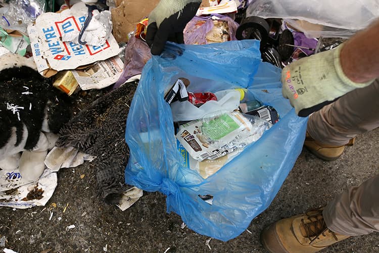 Recycling capacity grows, but Australia’s plastic waste problem is far from solved