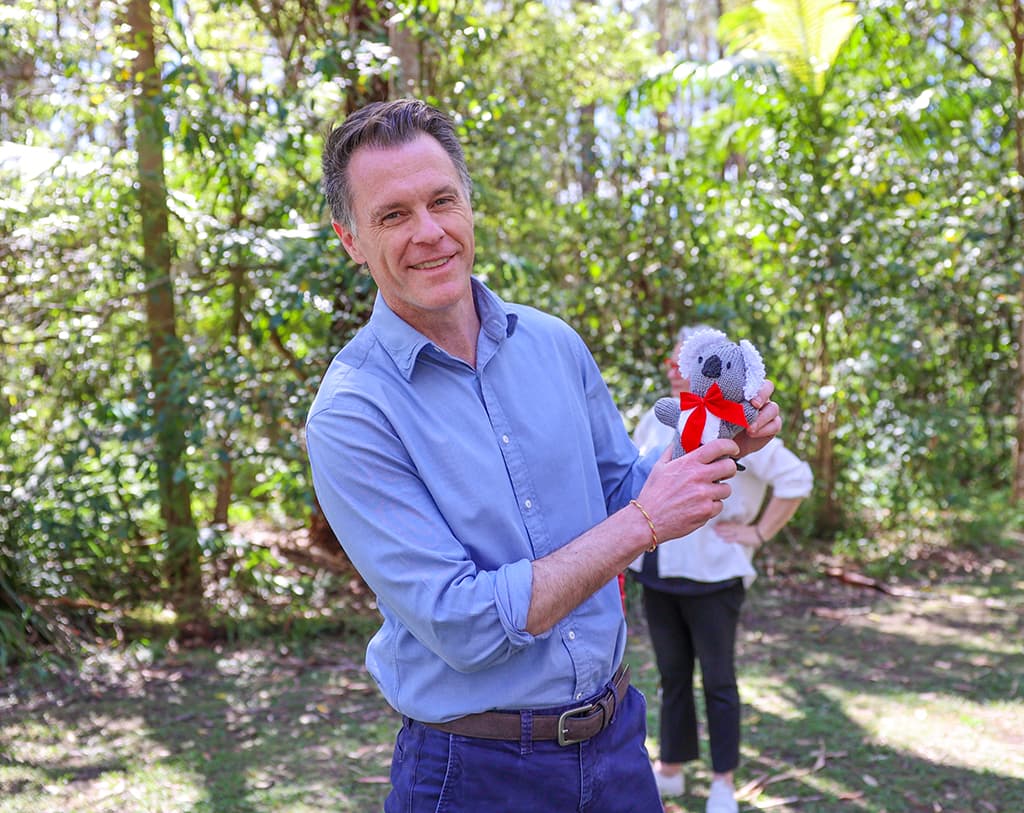 Carbon offsets and the 'shameless' koala park plan, explained
