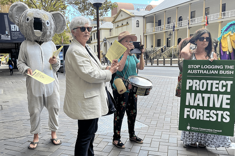 Historic environmental alliance challenges use of native forests in Australia's carbon market