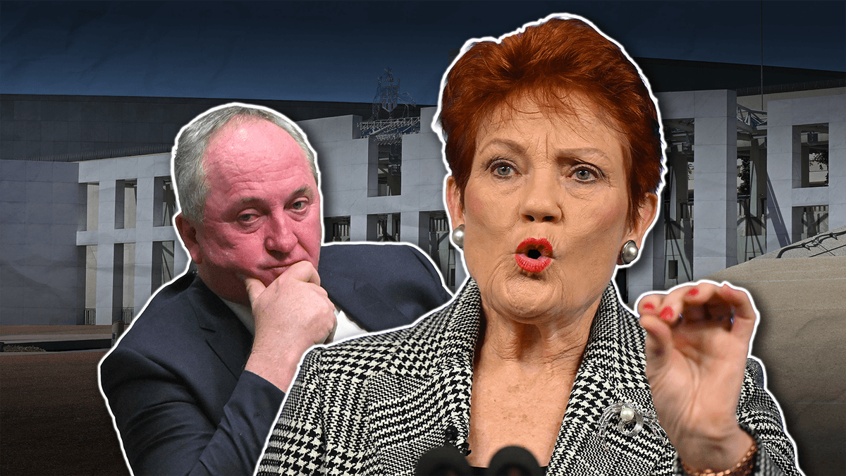 From DV to deportation, Hanson has spent decades telling us who she is