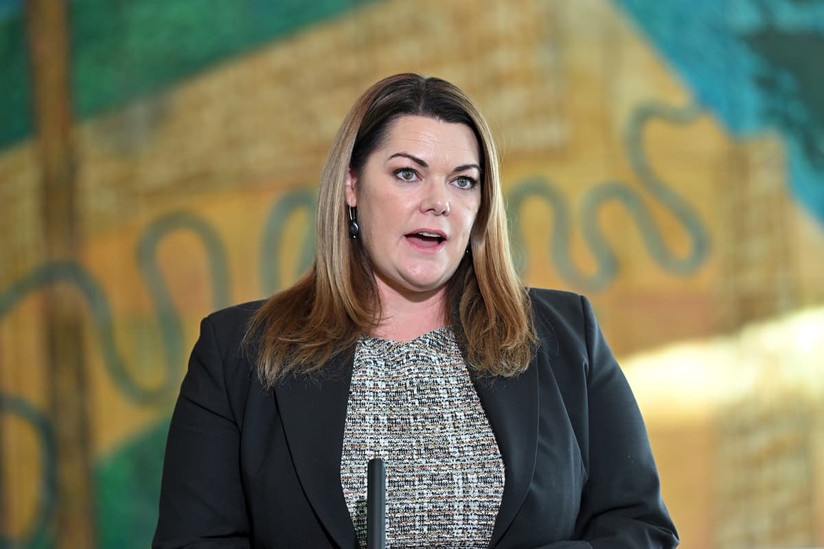 Greens warn rapid expansion of AI risks becoming ‘another mining boom’ without urgent regulation