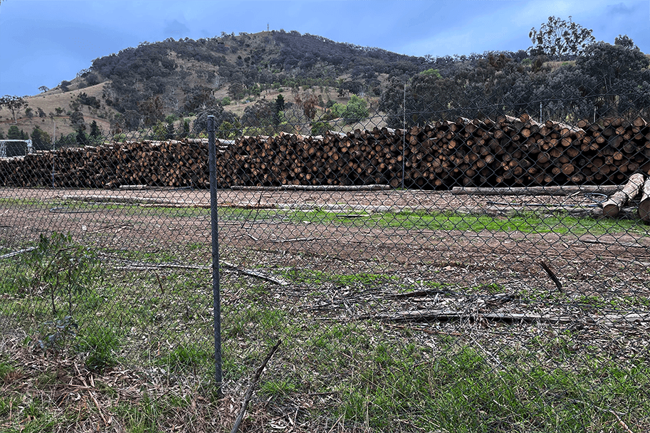 We can do better for our forests than the INFM method