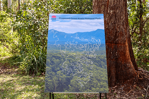 Controversial carbon credit scheme faces further integrity concerns 