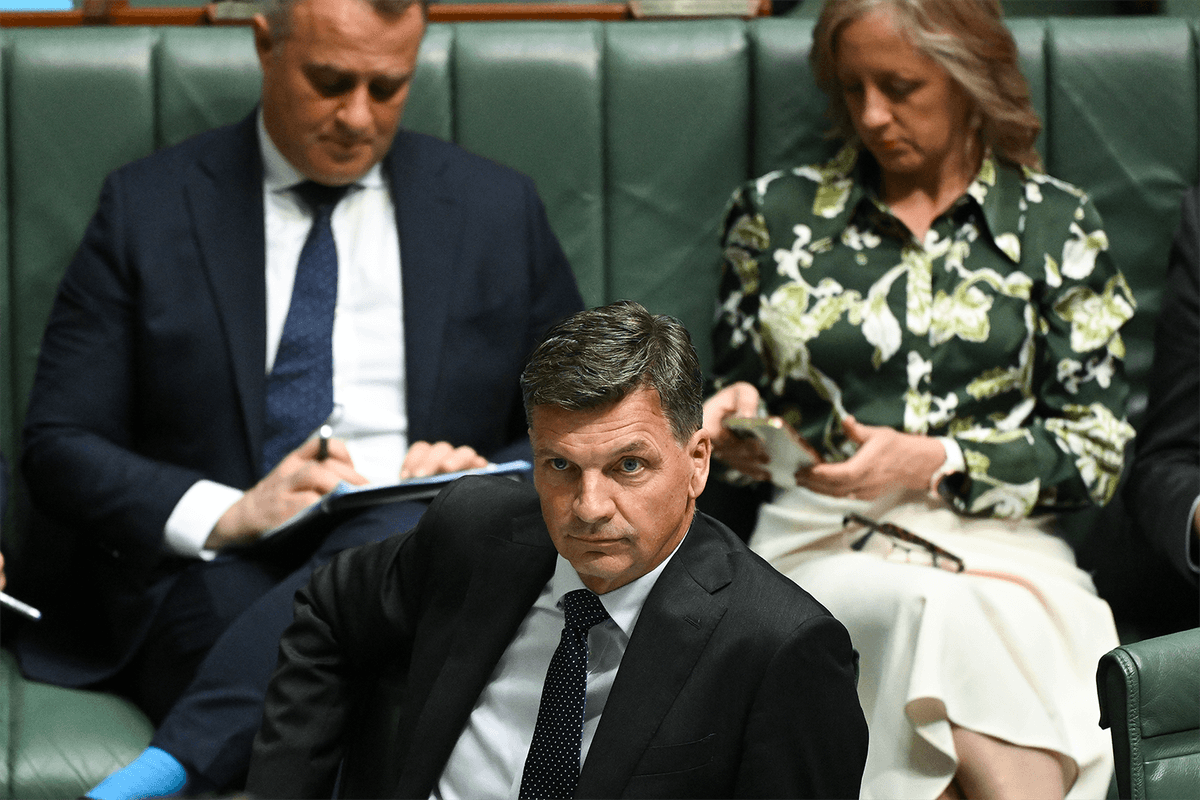 Is the Liberal Party aging out of Australian politics?