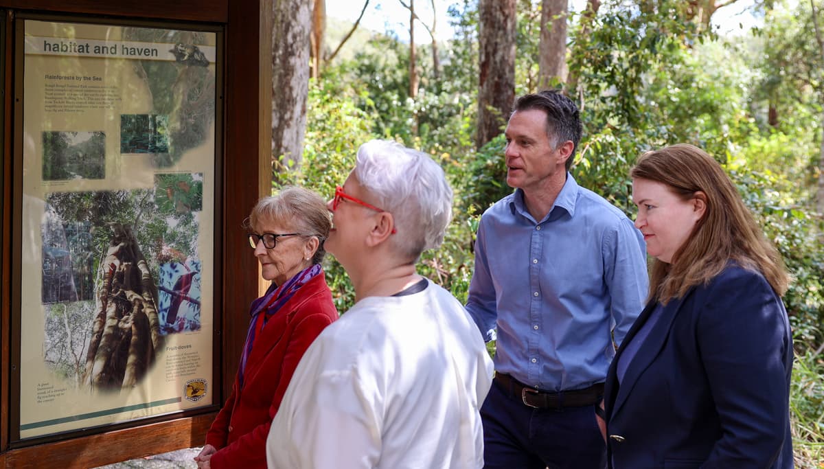 The Greens' real test isn't the Coalition — it's the neoliberal carbon offset market