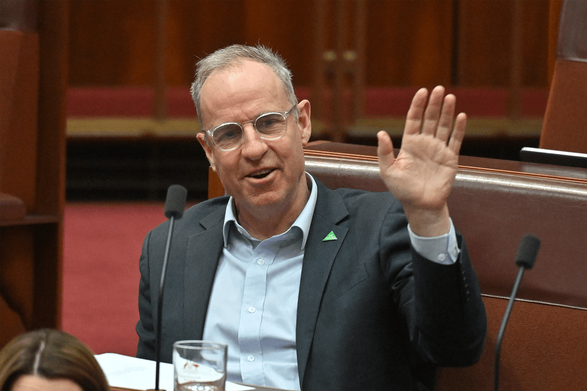 Greens accuse Bowen of hypocrisy ahead of vote on native forest carbon credit method