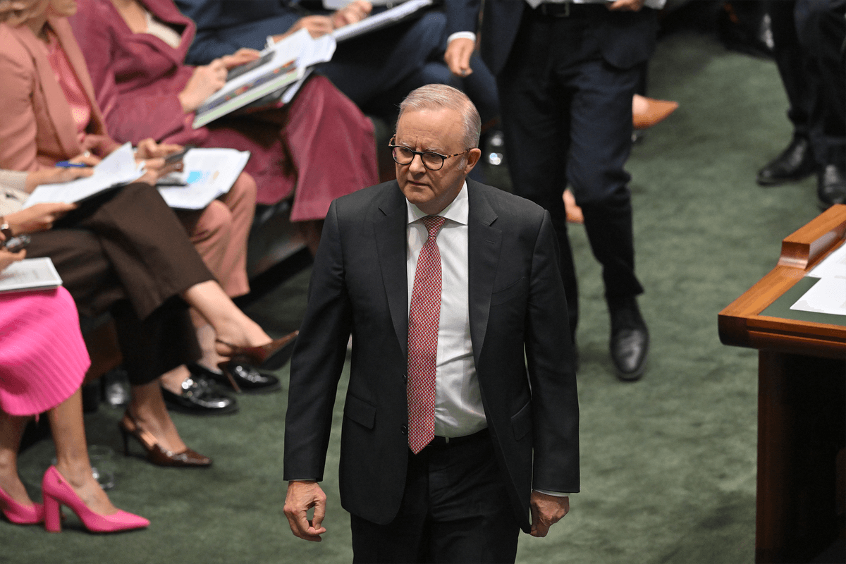 Albanese government’s plan to strip asylum seekers of work rights will fuel exploitation