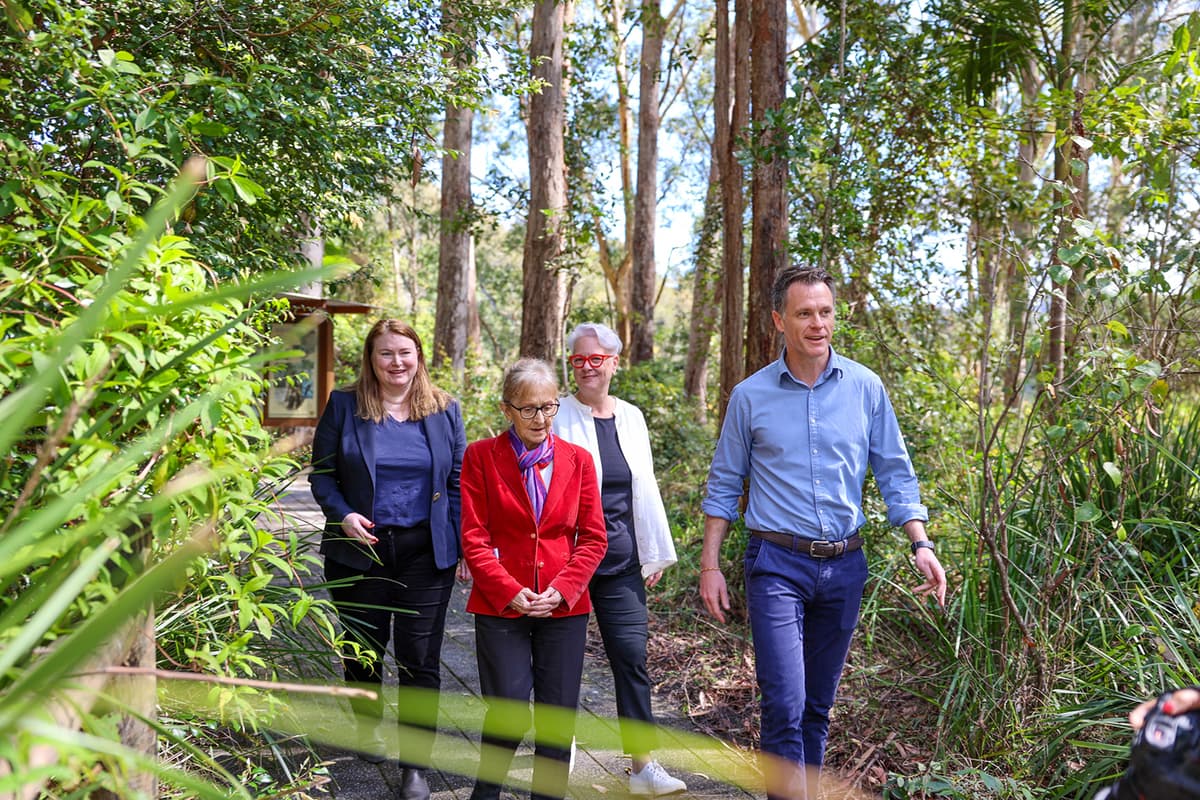 Motor racing could be permitted in parts of Great Koala National Park precinct, sparking outrage