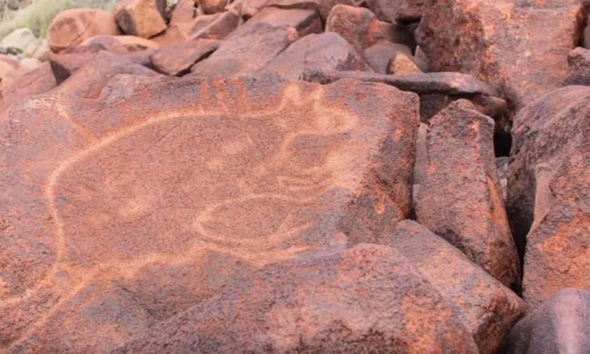 Video Report: The fight to save Murujuga