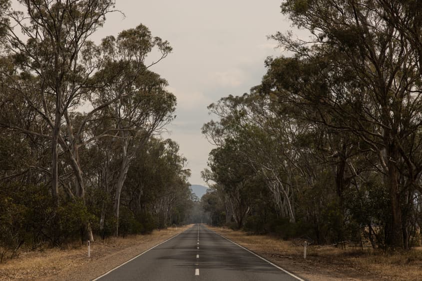 Bushfire survivors group calls for phasing out fossil fuels as a key demand