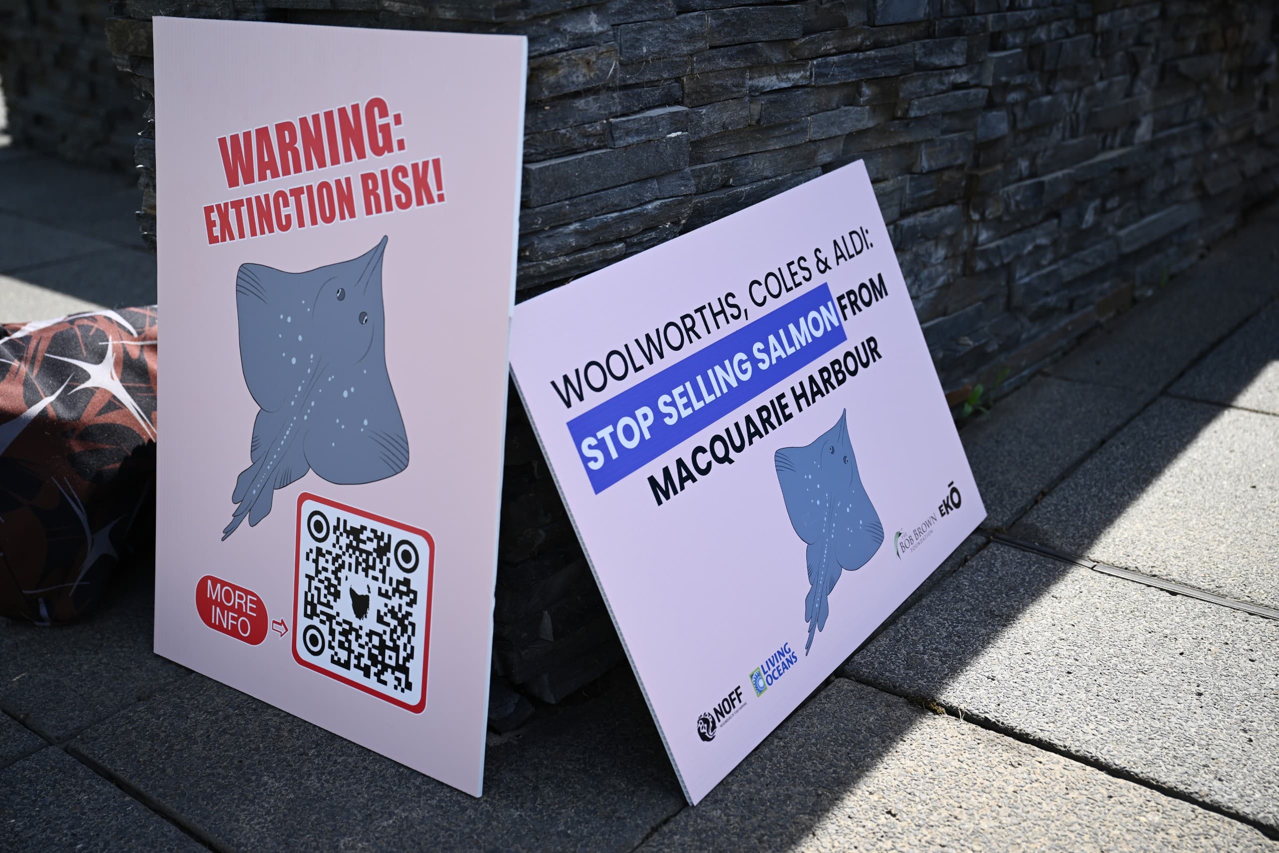 Coles shareholders may yet save the Maugean skate?