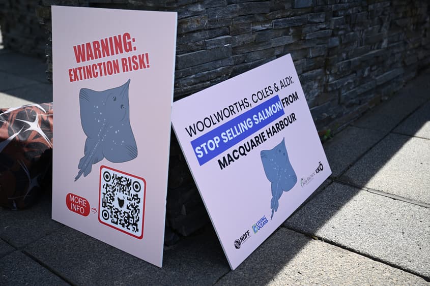 Coles shareholders may yet save the Maugean skate?