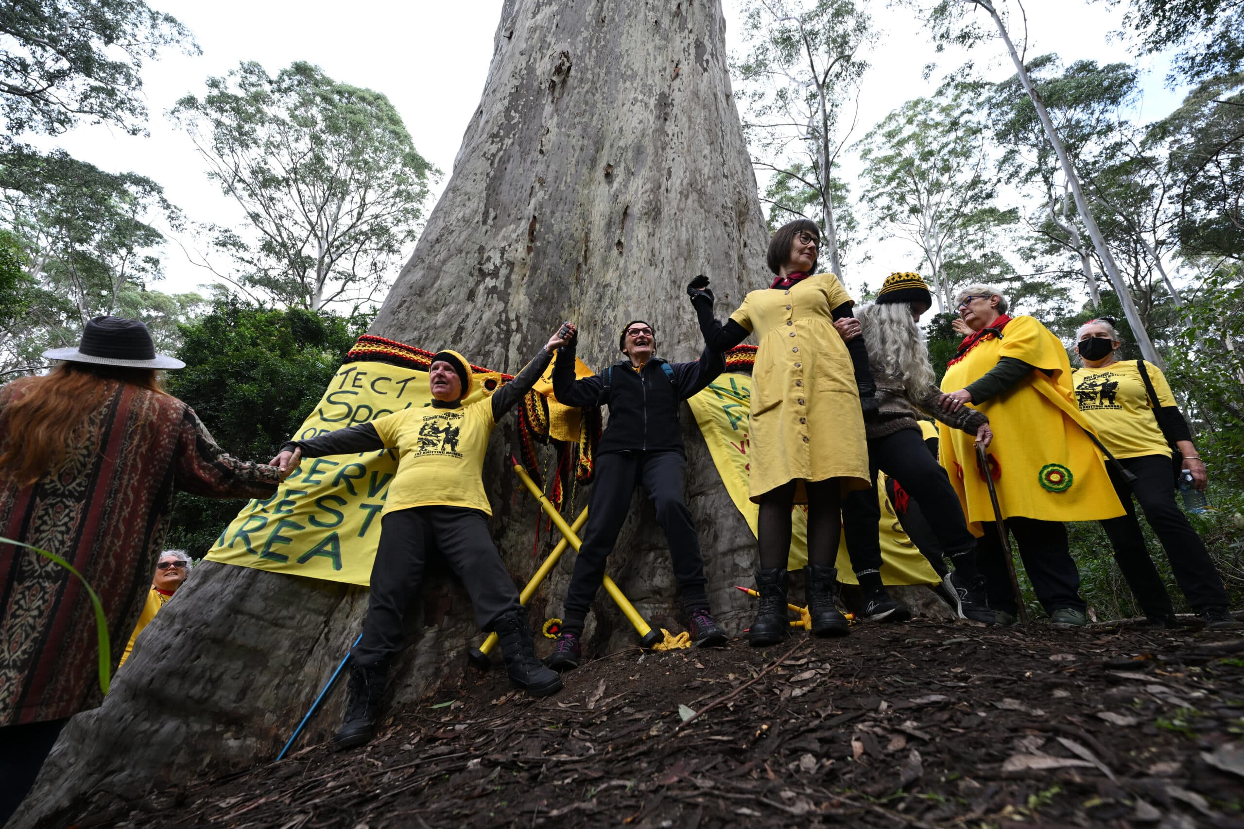 Successful defiance is a front-foot thing. It is active, not passive.