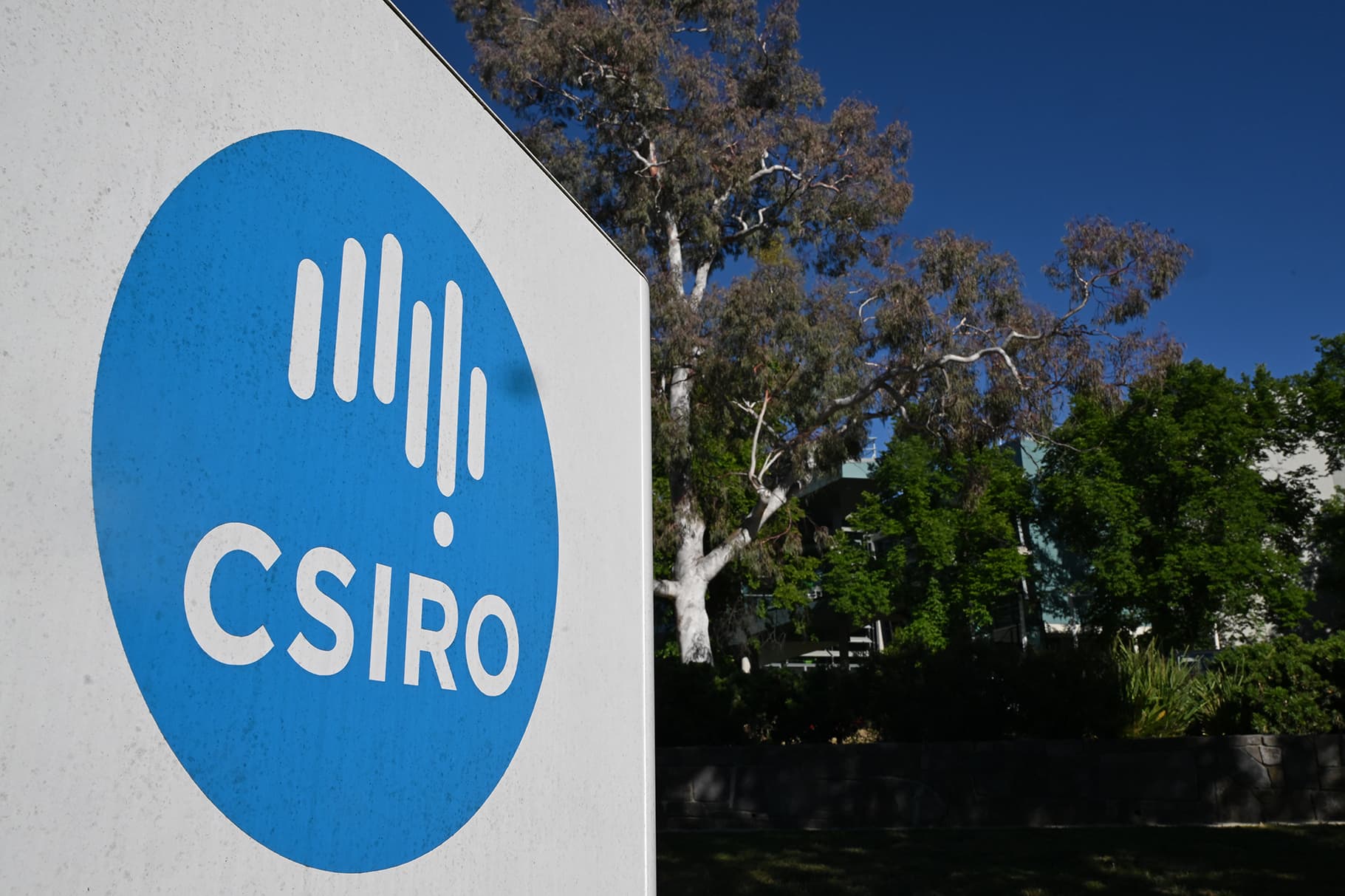 CSIRO 350 job cuts a damning indictment on Government priorities, misses 'golden opportunity' on research