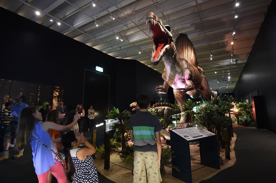 Why fossil fuel influence in children's education is a democratic problem, not just a climate problem