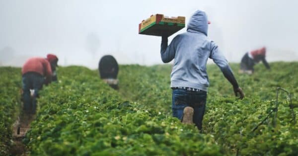 Undocumented, underpaid, and over here