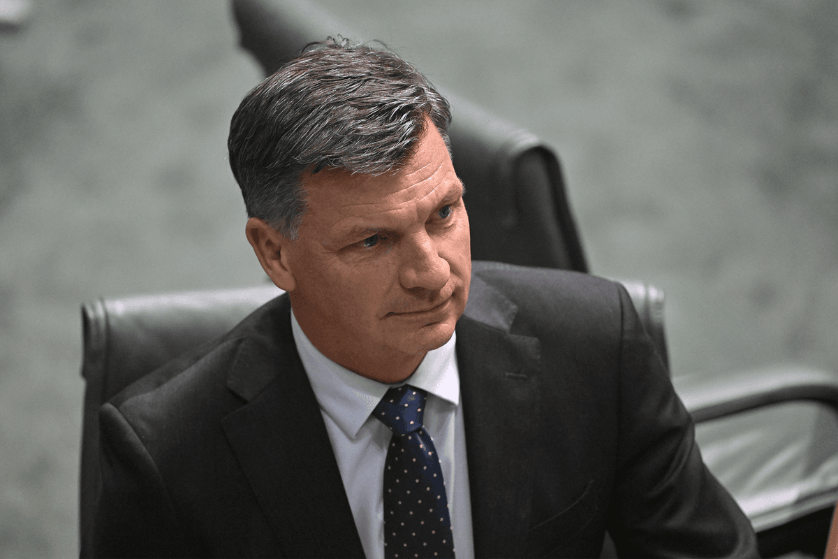 Foreign gas lobby group welcomes Coalition’s plan to give them even more of Australia’s gas for free