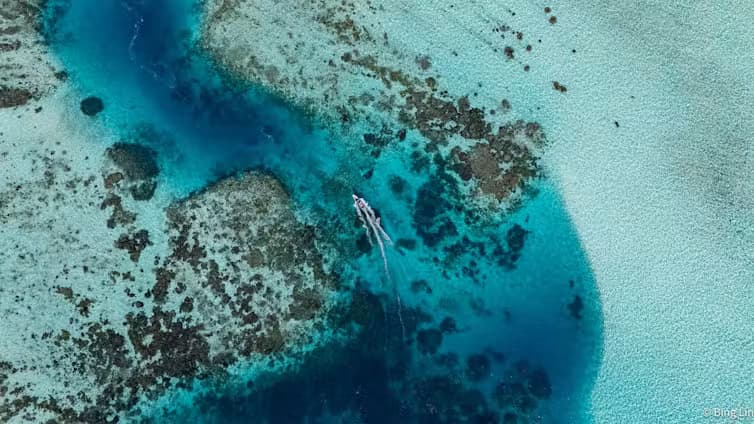 Conservationists are discovering ‘bright spots’ around the globe. Here’s why they matter