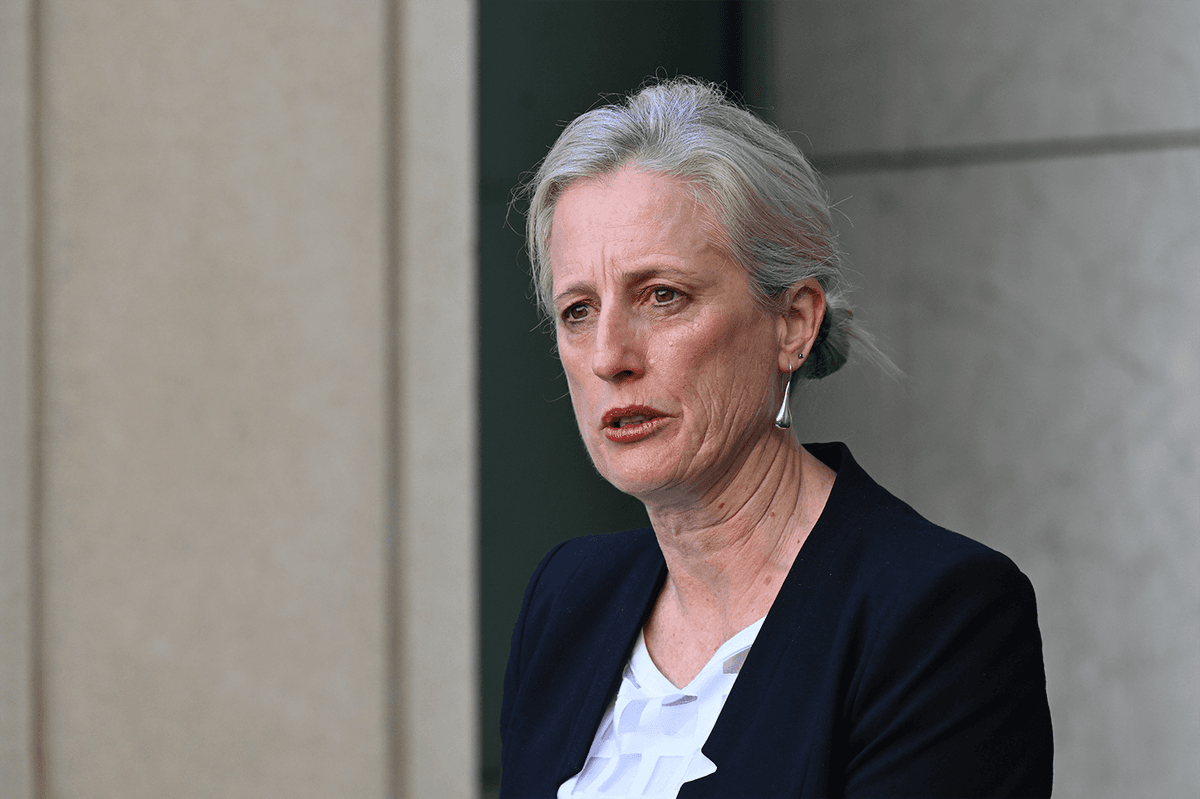 Nine MPs to receive security upgrades in wake of alleged attack on Helen Haines