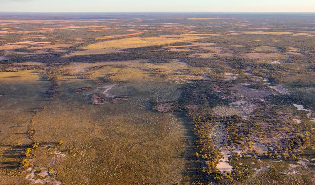 Why the government’s Carbon Credit “Integrity and Transparency” Bill will lock in dodgy offset projects